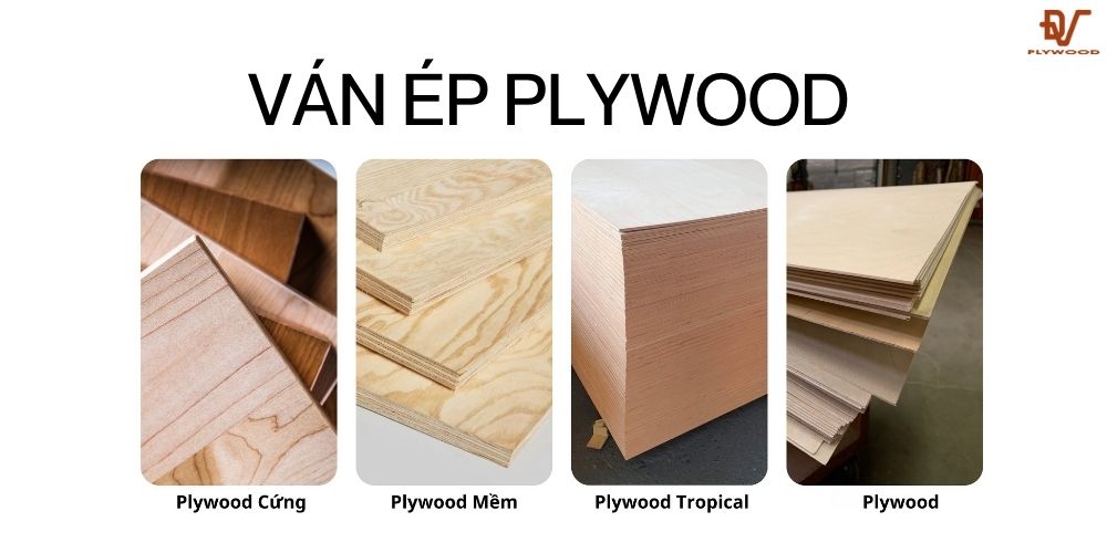 Ván ép Plywood