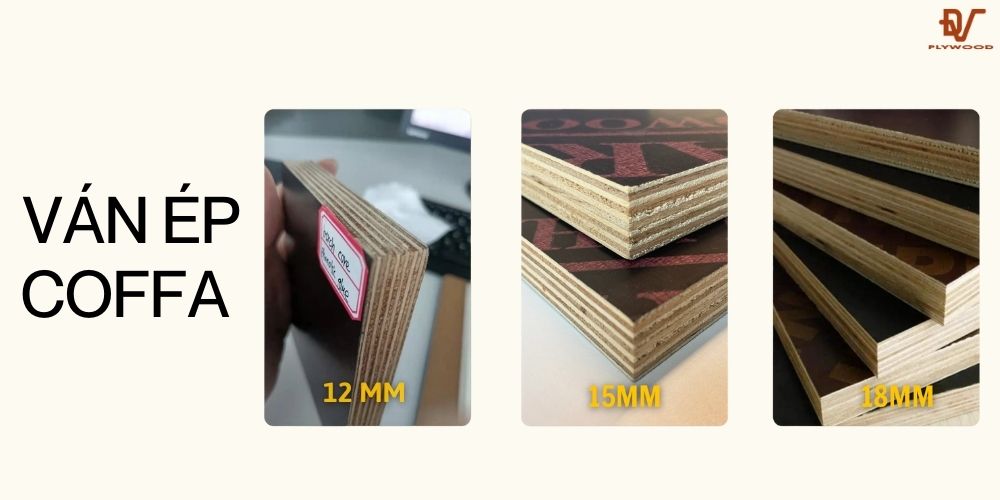 Các loại ván ép Coffa tại Đạt Việt Plywood