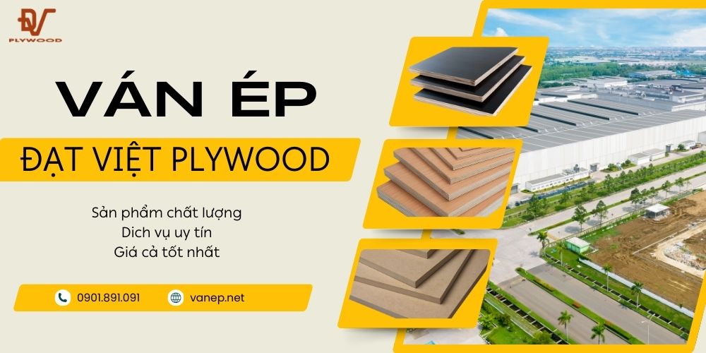Ván ép Đạt Việt Plywood