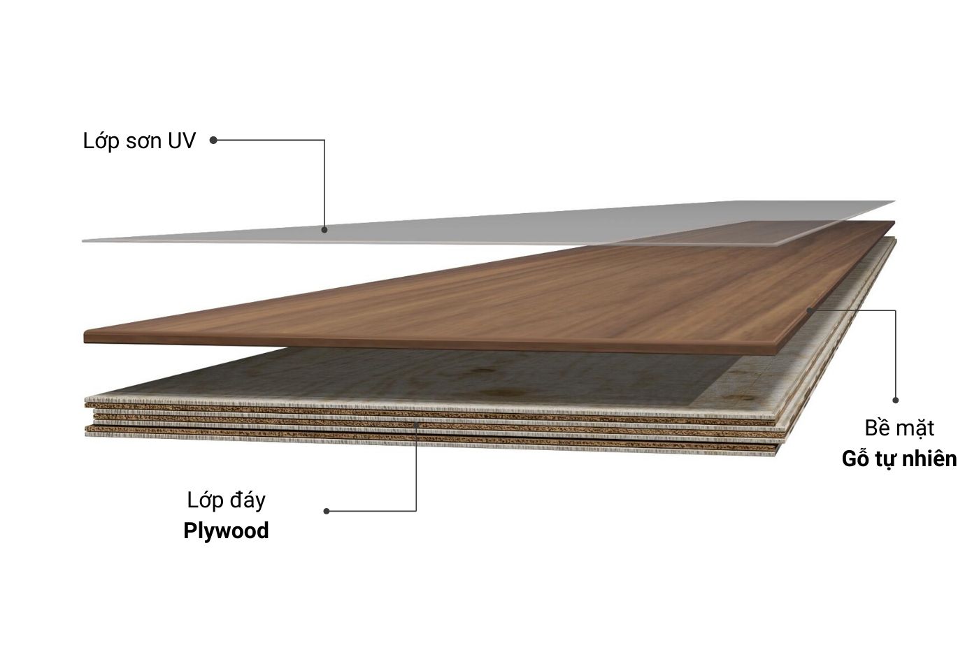 plywood đạt việt 