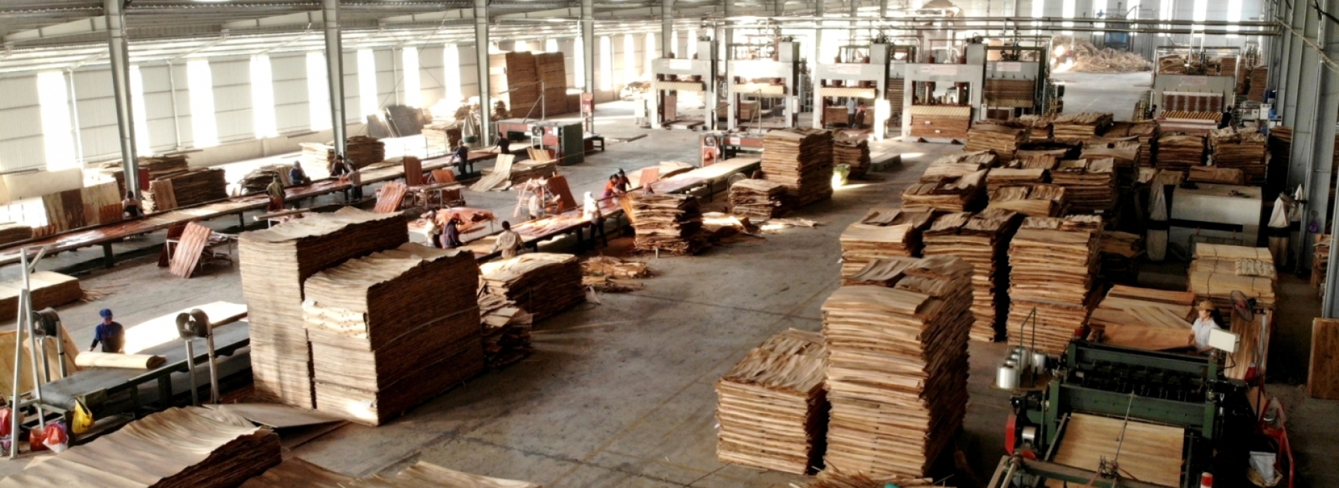 ĐẠT VIỆT PLYWOOD 