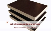 Mua ván ép phủ phim 12mm chất lượng ở đâu?