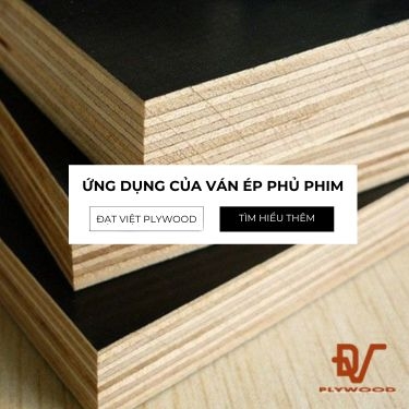 Ứng dụng ván ép phủ phim trong thi công công trình & sản xuất nội thất